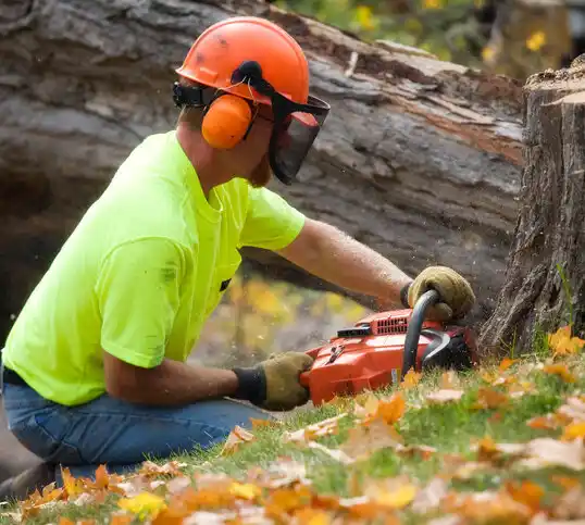 tree services Meadville